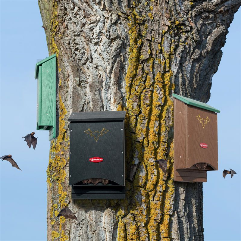 Kingsyard Arc Recycled Plastic Bat House