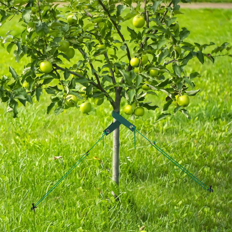 Kingsyard Heavy Duty Tree Support Stakes