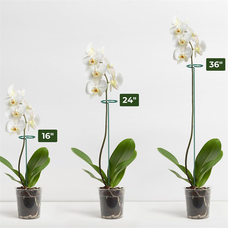 Kingsyard Durable Plant Support Stakes