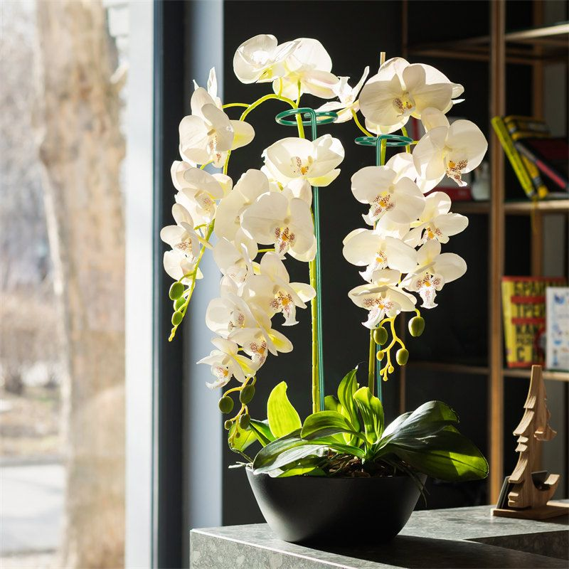 Kingsyard Metal Plant Support Stakes