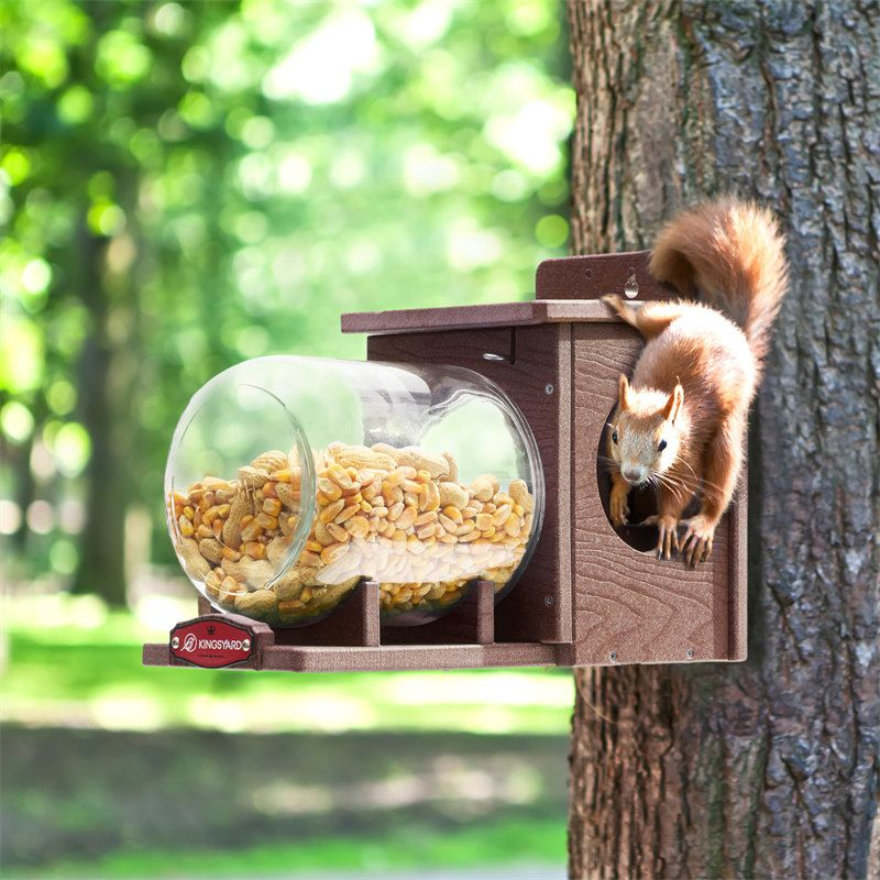Kingsyard Recycled Plastic Squirrel Feeder