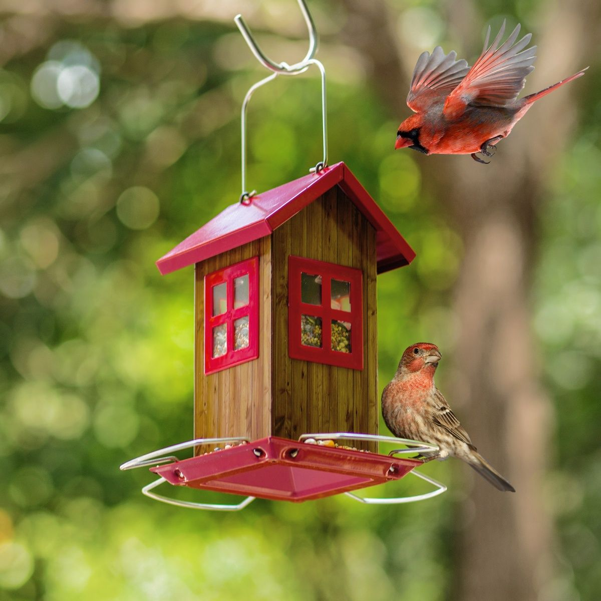 Kingsyard Small Bird House Feeder