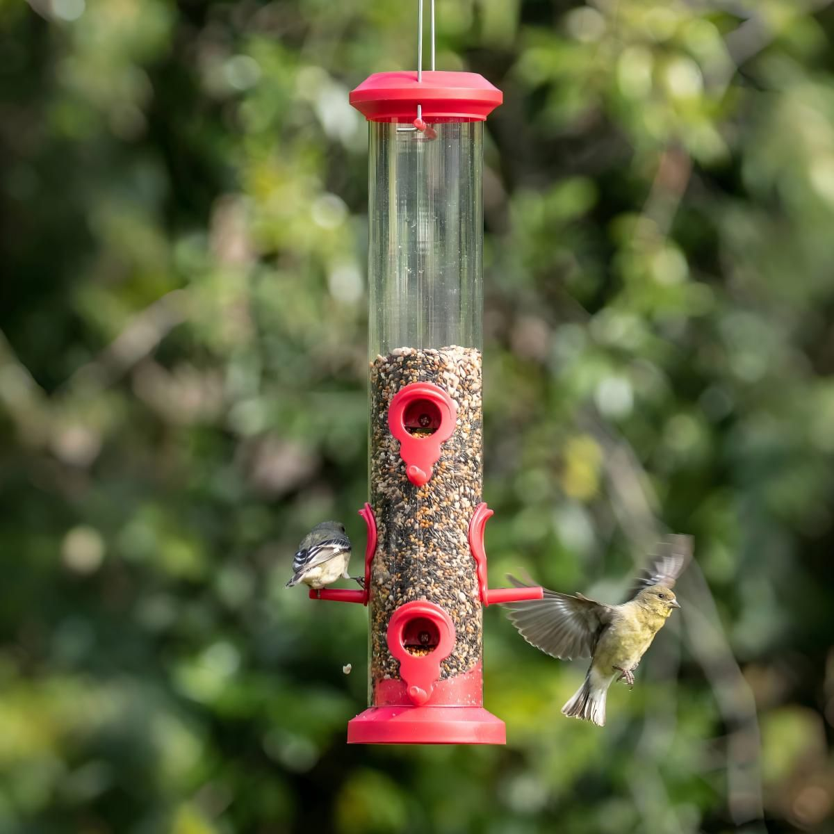 Kingsyard 2 Pack Weatherproof Tube Bird Feeder