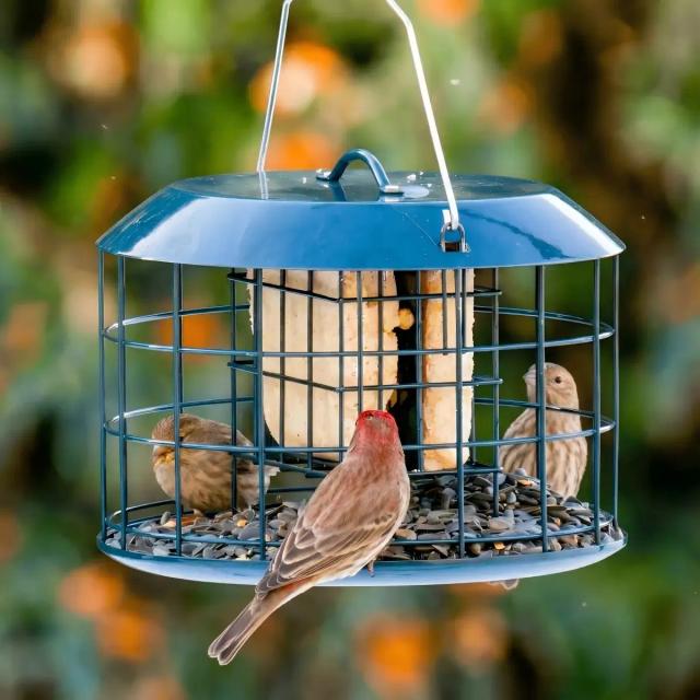 Kingsyard Metal Caged Squirrel Proof Suet Feeder