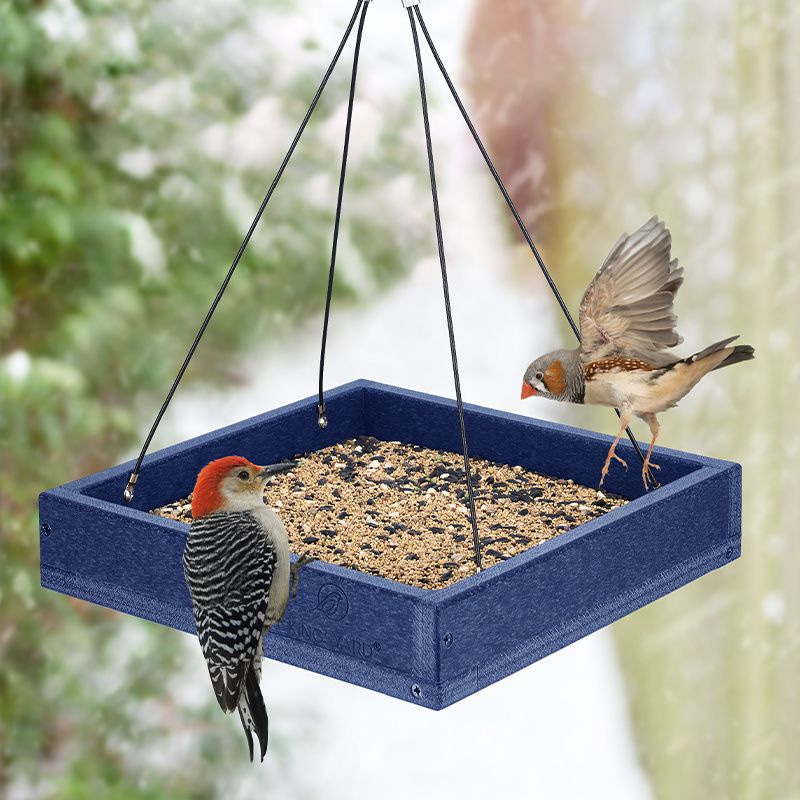 Kingsyard Platform Bird Feeder with Large Seed Tray