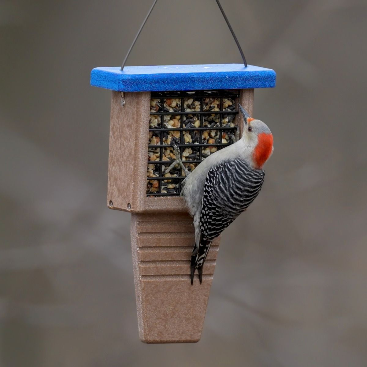 Kingsyard Tail Prop Suet Feeder for Woodpeckers