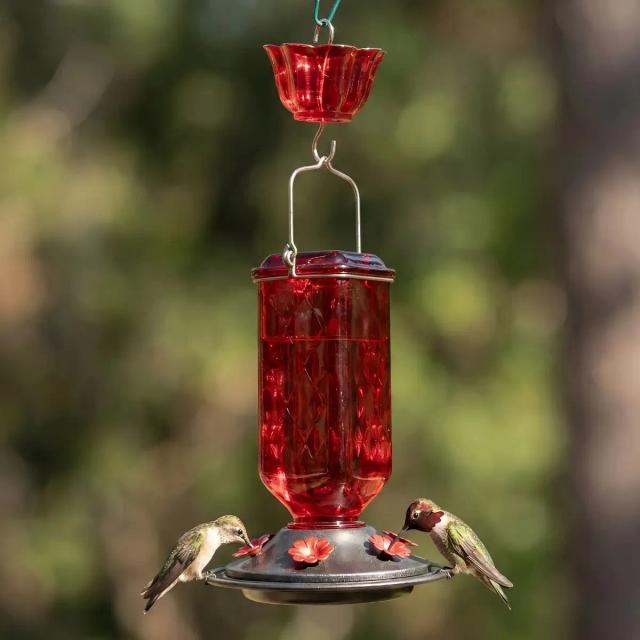 Kingsyard 24oz Leak Proof Glass Hummingbird Feeder with Ant Moat