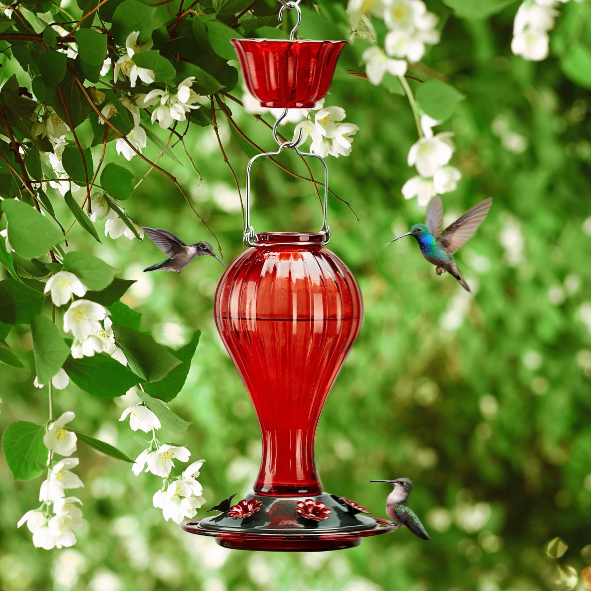 Kingsyard 24oz Leak Proof Glass Hummingbird Feeder with Ant Moat