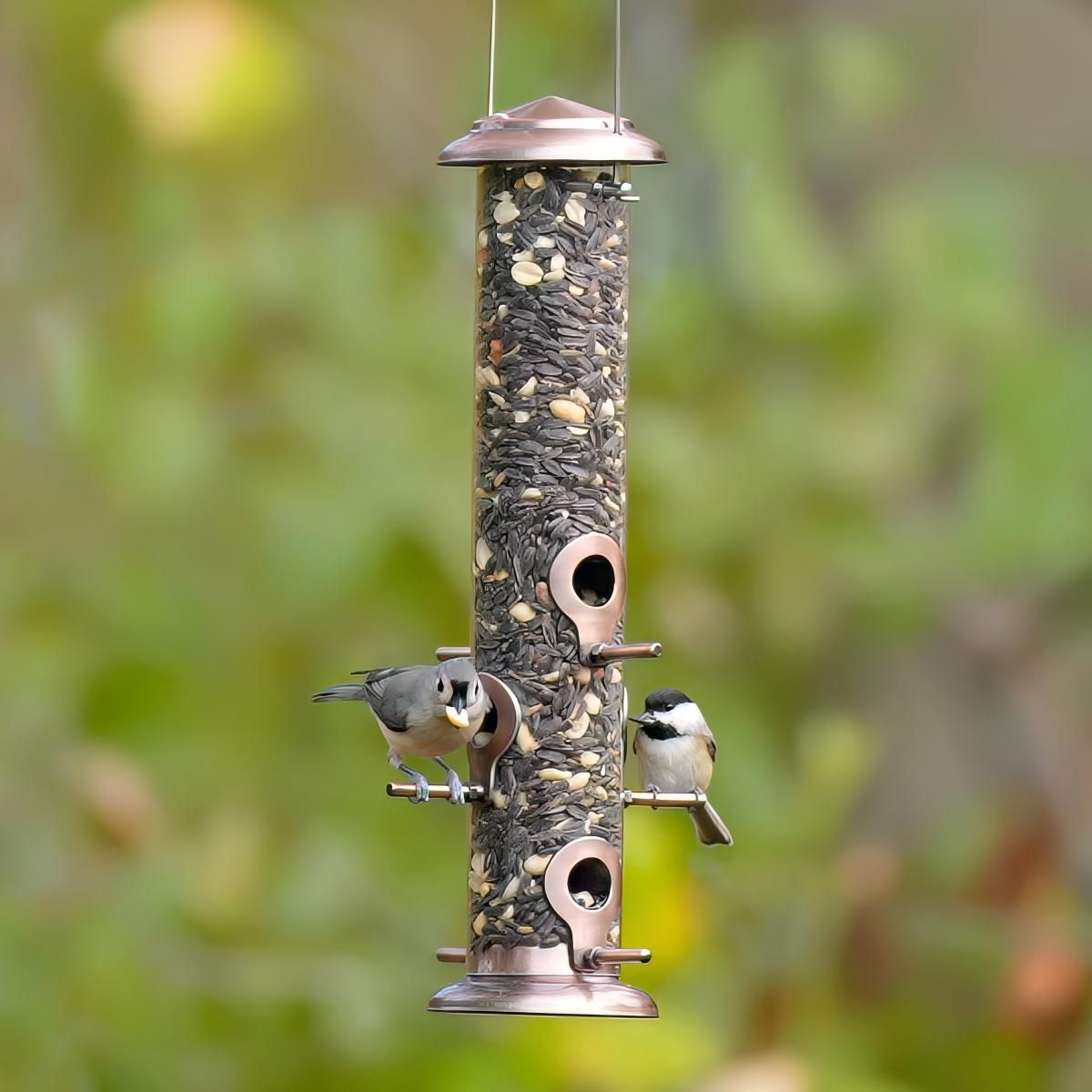 Kingsyard Chew-proof Metal Tube Bird Feeders