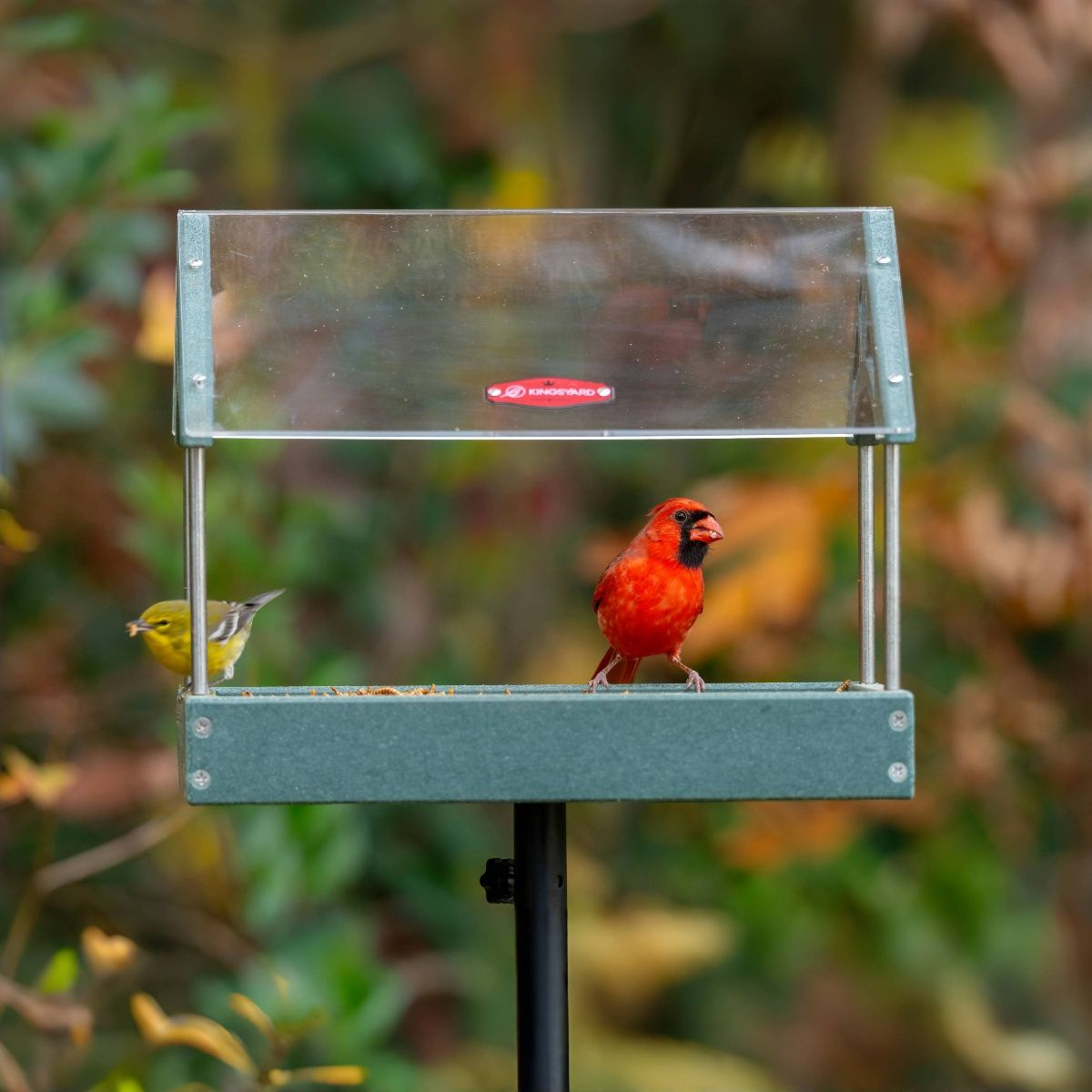 Kingsyard Recycled Plastic Wild Bird Feeders with Adjustable Height Pole Kit