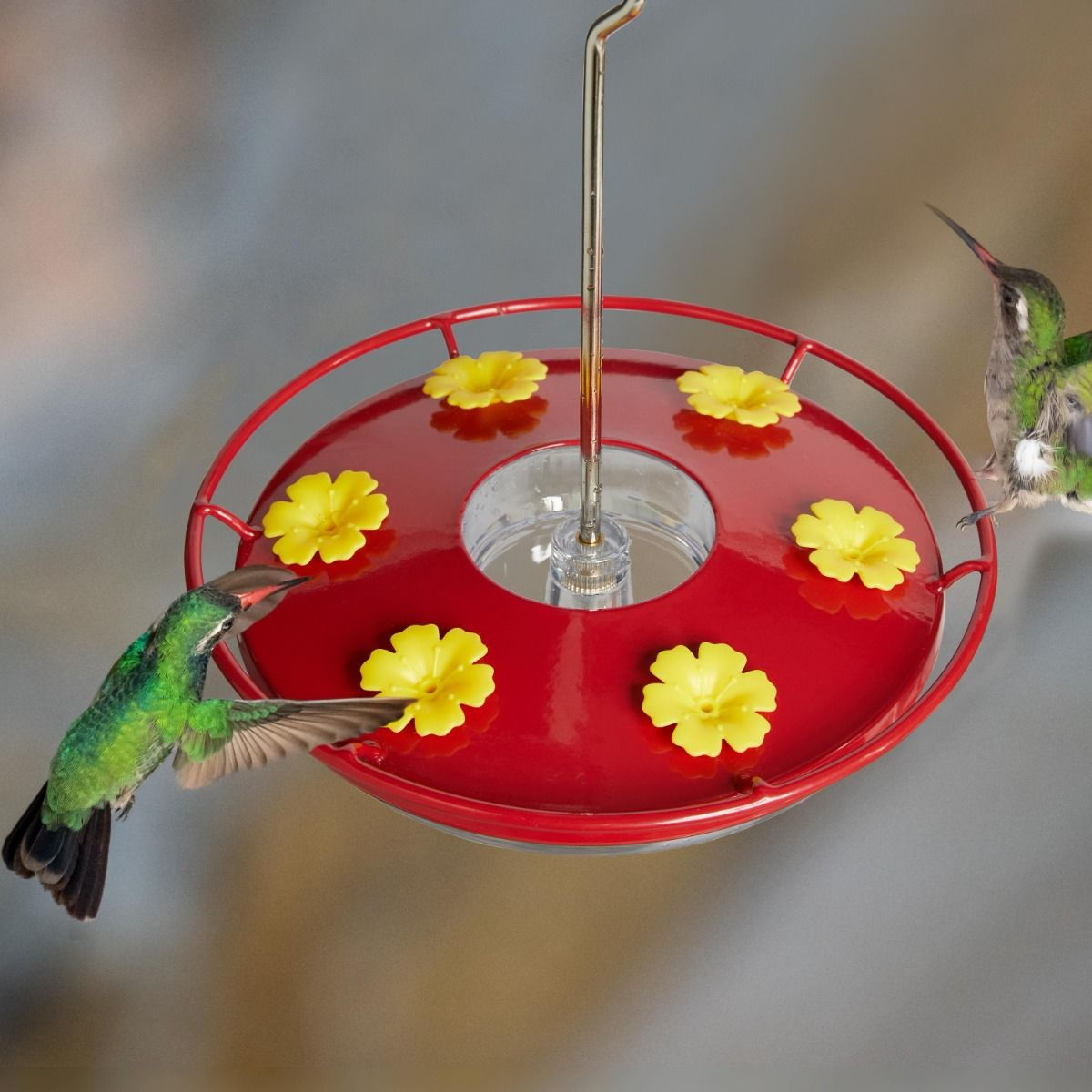 Kingsyard 12oz Tray Hummingbird Feeder With Ant Moat