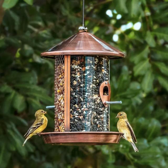Kingsyard Dual Chamber Chew-Proof Metal Bird Feeder