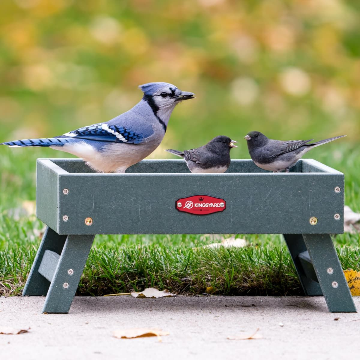 Kingsyard Recycled Plastic Ground Feeder For Birds and Chickens