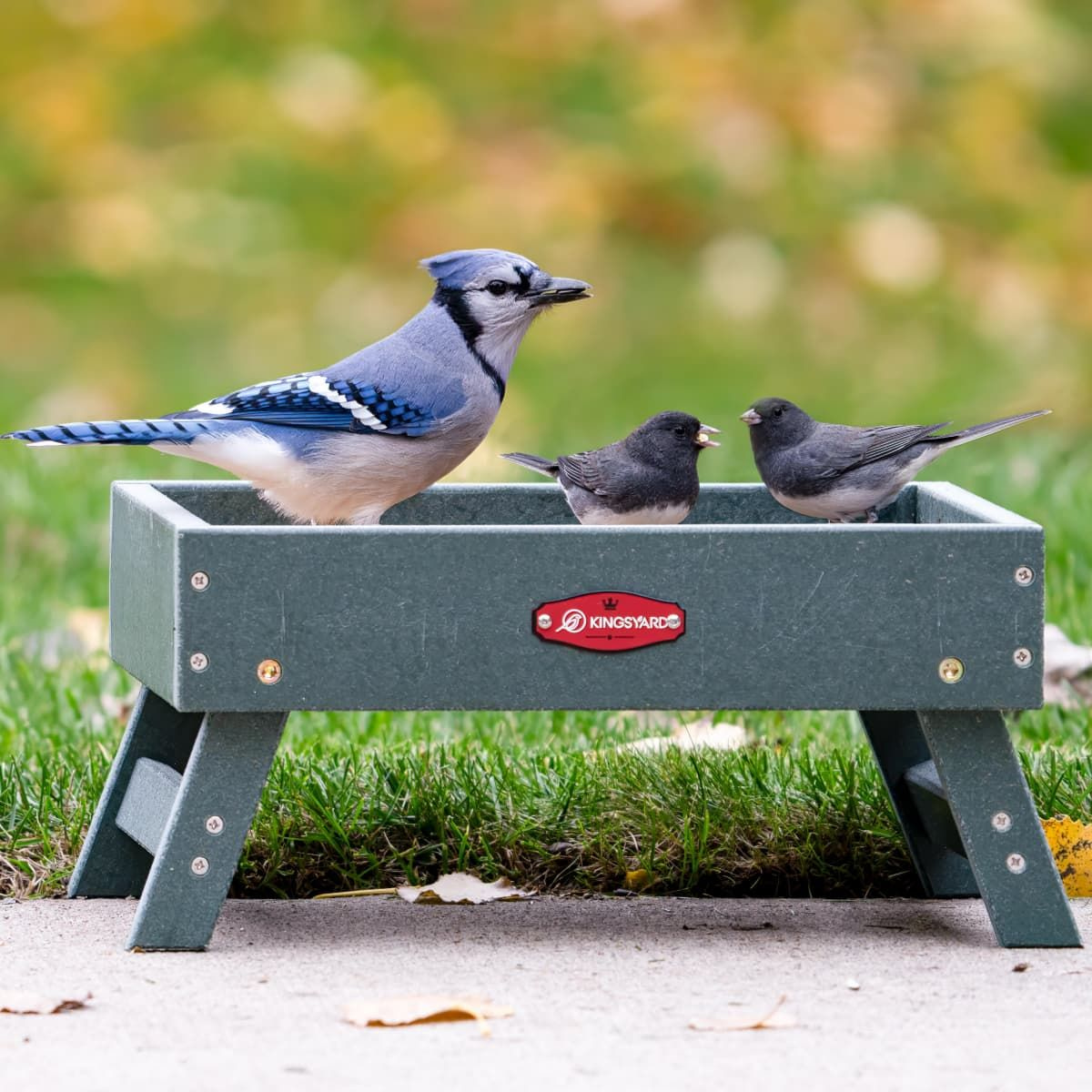 Kingsyard Recycled Plastic Ground Feeder For Birds and Chickens