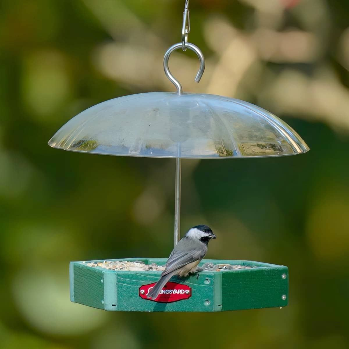 Kingsyard Recycled Plastic Platform Bird Feeder with Adjustable Dome