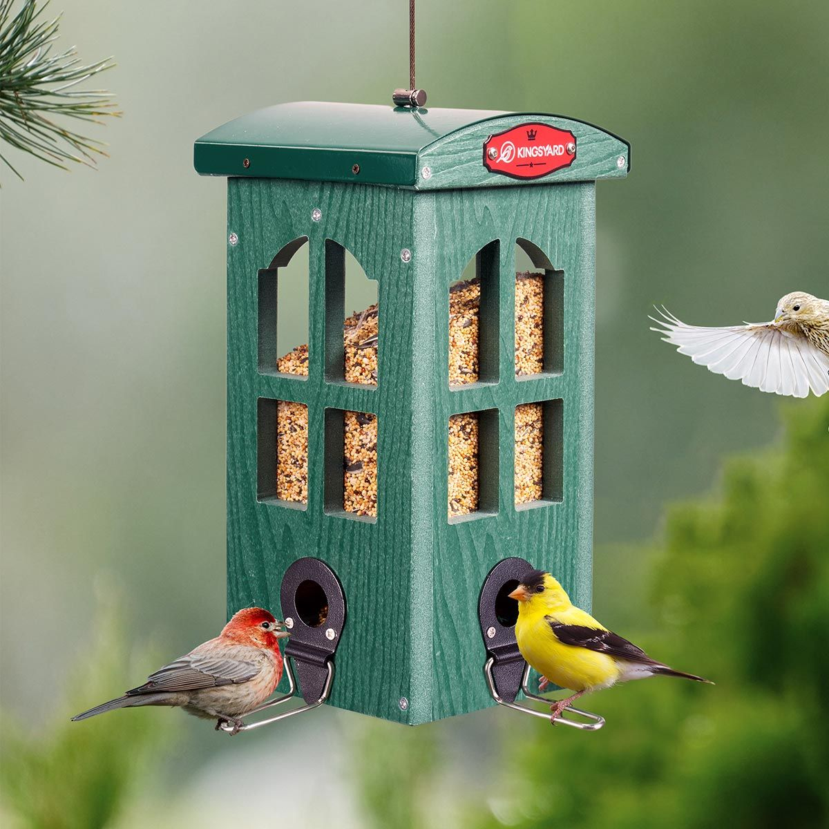 Kingsyard Weatherproof House Tube Bird Feeders