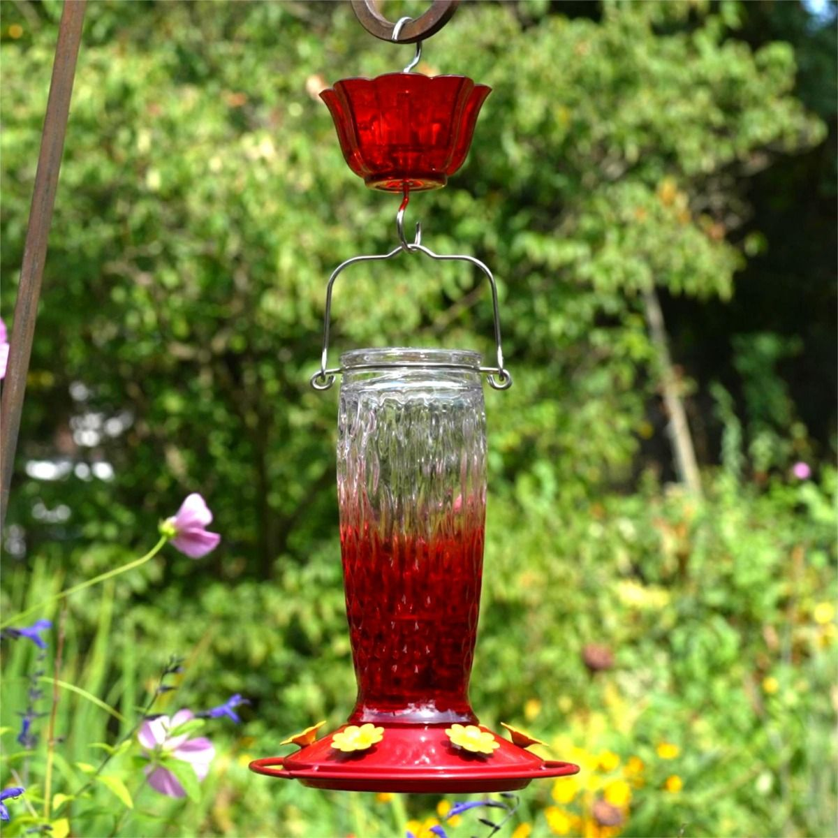 Kingsyard 24oz Glass Hummingbird Feeder with Ant Moat