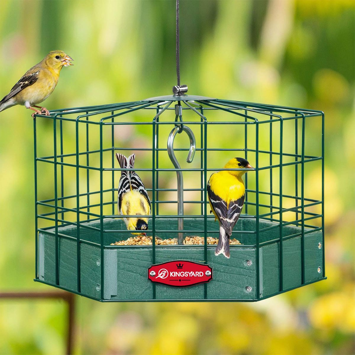 Kingsyard Squirrel-Proof Platform Hanging Bird Feeder