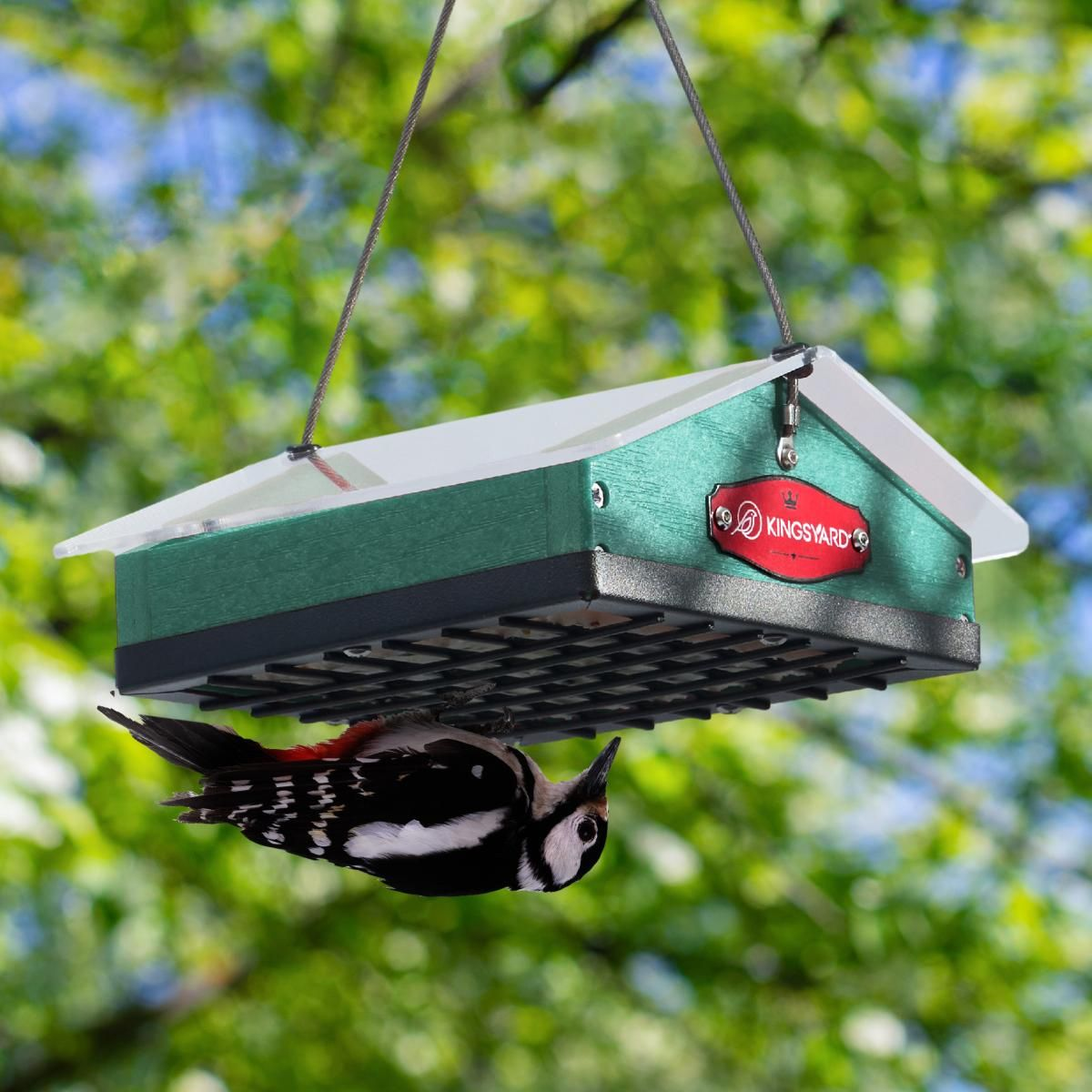 Kingsyard Upside Down Squirrel Proof Suet Feeder