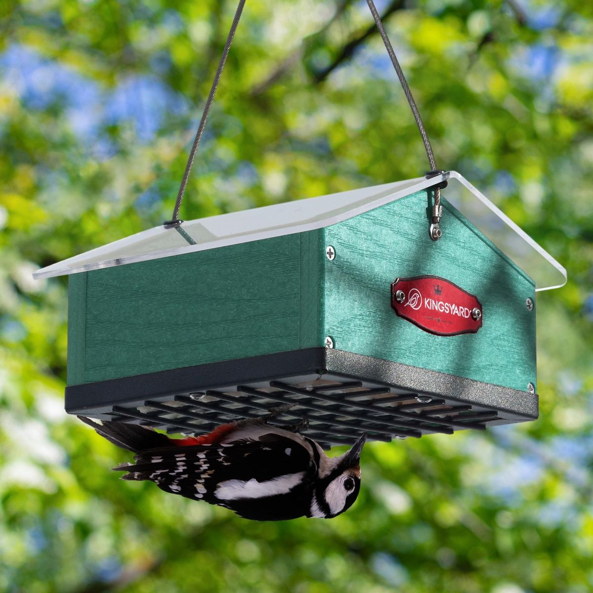 Kingsyard Upside Down Squirrel Proof Double Suet Feeder