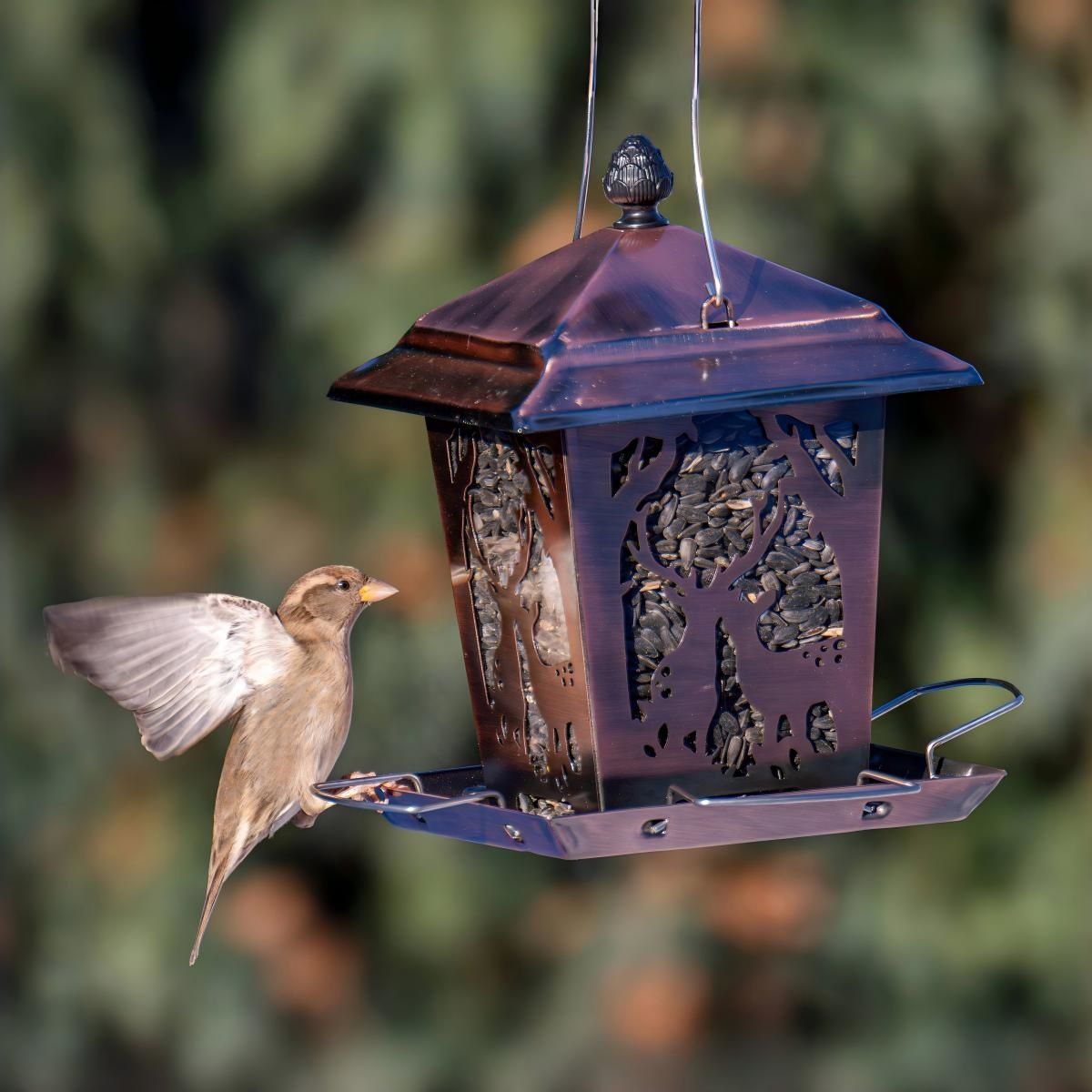 Kingsyard Weatherproof Metal Hopper Bird Feeder