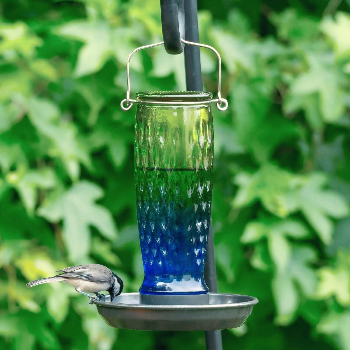 Kingsyard 24oz Large Capacity Glass Bird Water Feeder