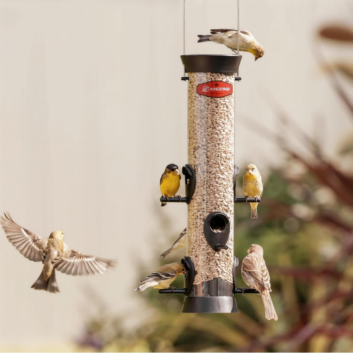 Kingsyard Extra Thick Tube Bird Feeder