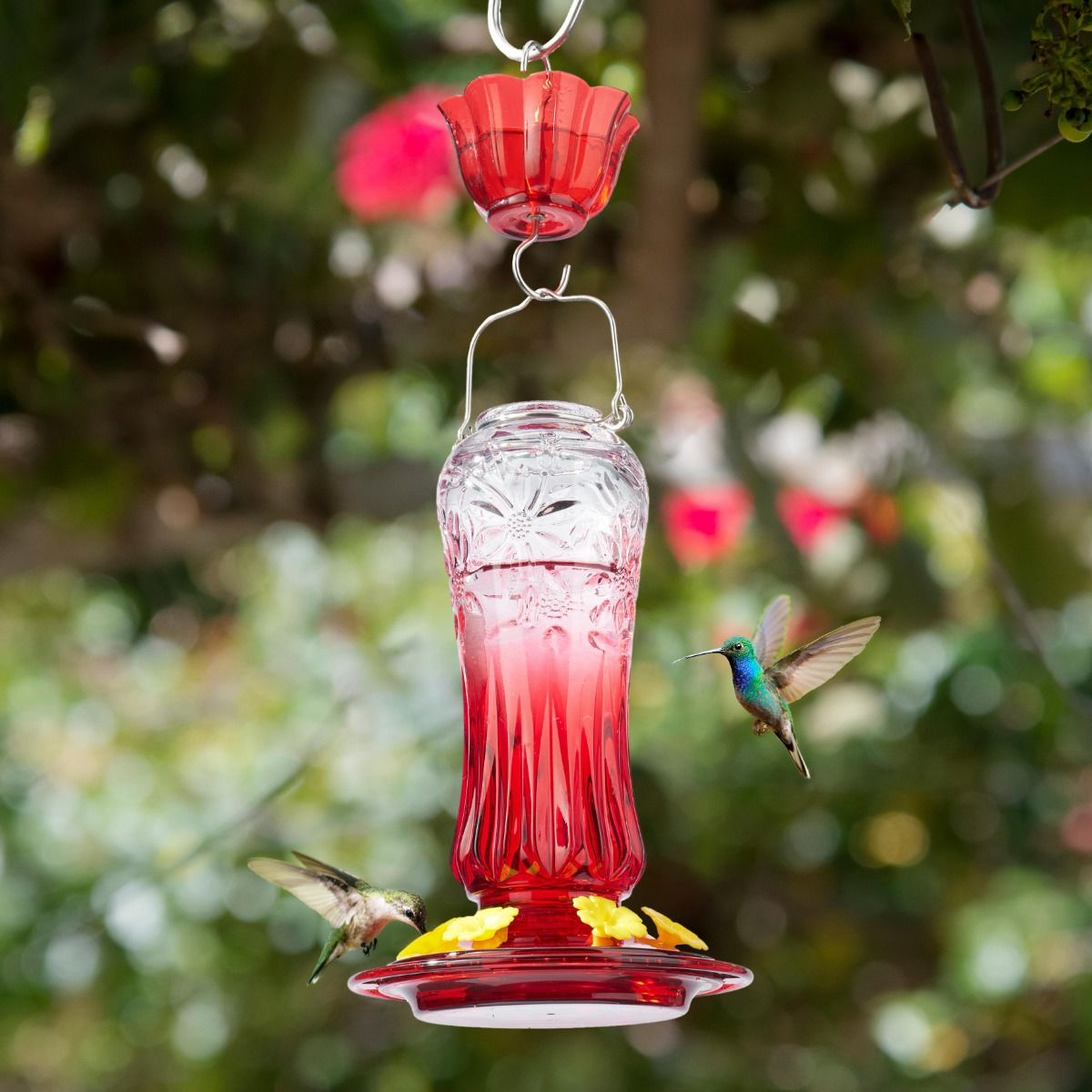 Kingsyard 24oz Glass Hummingbird Feeder with Ant Moat