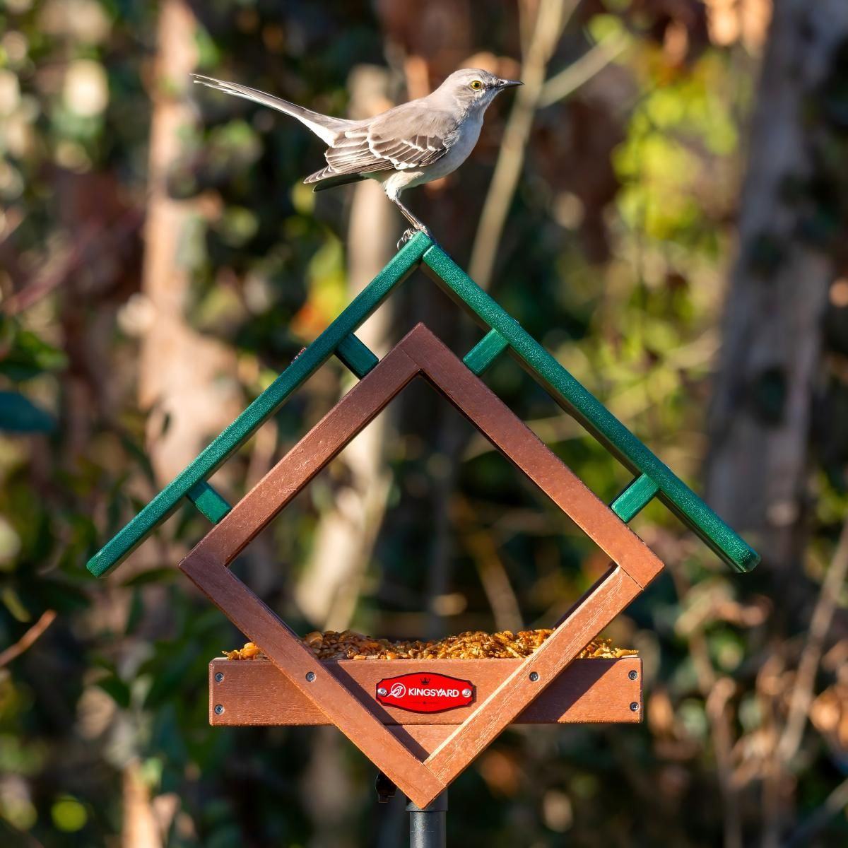 Kingsyard Adjustable Platform Metal Mesh Tray Bird Feeder