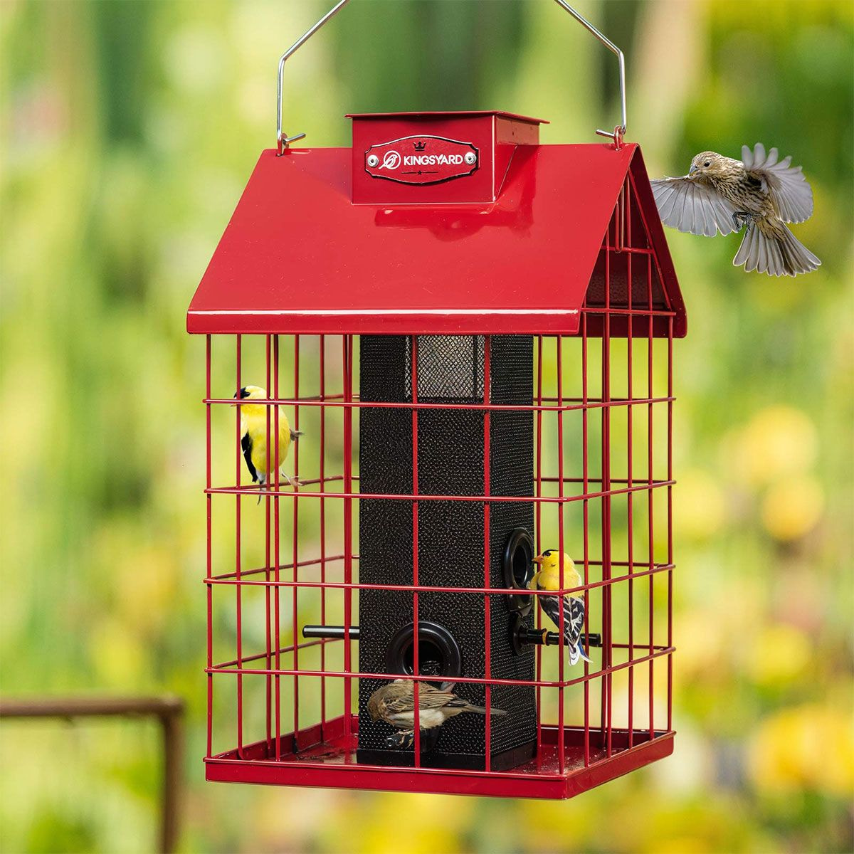 Kingsyard Weatherproof Caged Squirrel Proof Bird Feeder