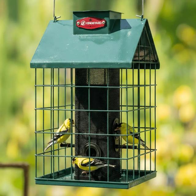 Kingsyard Weatherproof Caged Squirrel Proof Bird Feeder