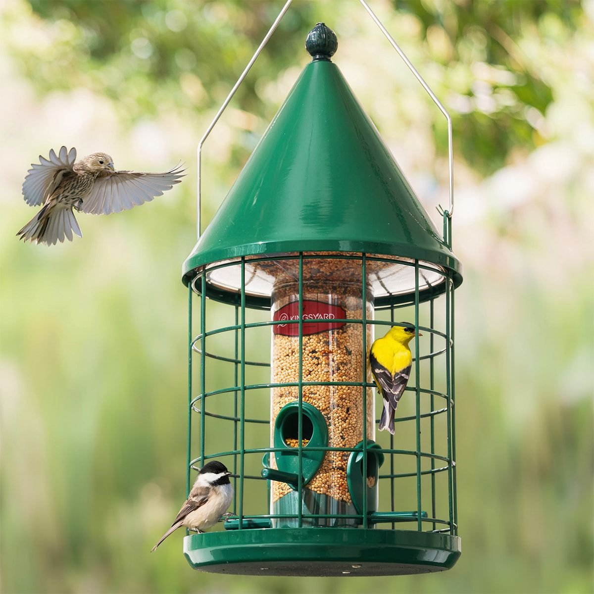 Kingsyard Caged Squirrel Proof Tube Bird Feeder with Rainproof Dome