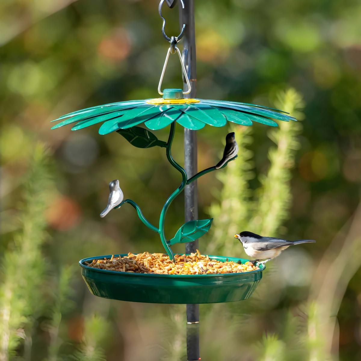 Kingsyard Platform Bird Feeder with Weatherproof Dome