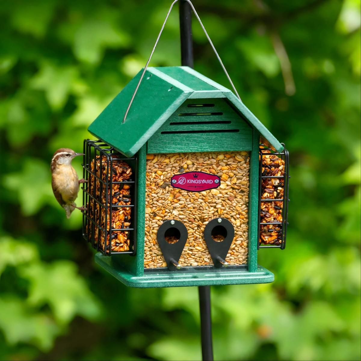 Kingsyard 3 in 1 Double Suet Metal Mesh Wild Bird Feeder