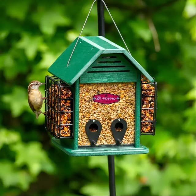 Kingsyard 3 in 1 Double Suet Metal Mesh Wild Bird Feeder