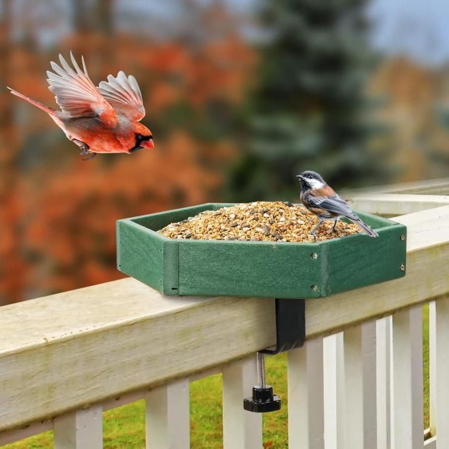 Kingsyard Platform Bird Feeder with Freestanding Tray