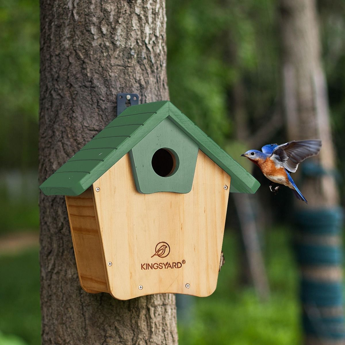 Kingsyard Wooden Bluebird House with 1.5'' Hole