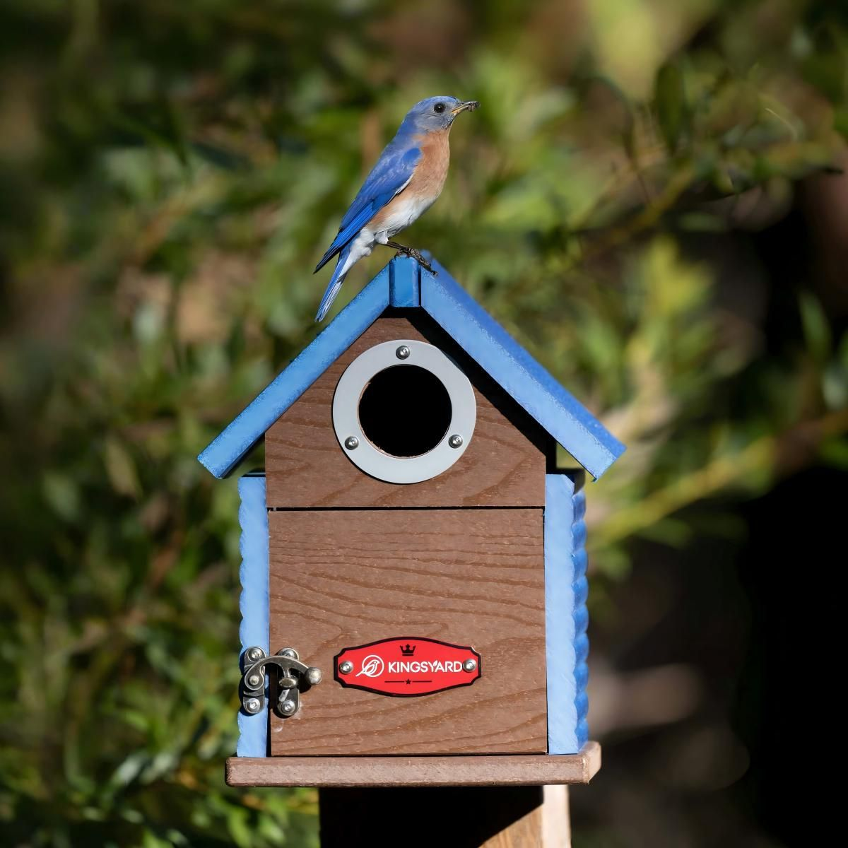 Kingsyard Weatherproof Wooden Bluebird House with 1.5'' Hole