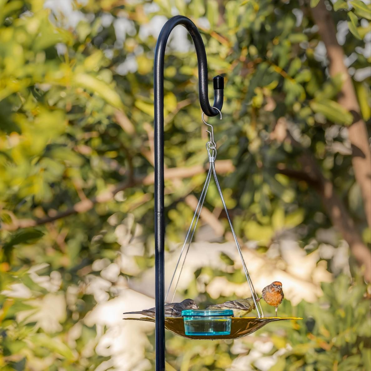 Kingsyard Full Size Bird Feeder Pole with Shepherd Hooks
