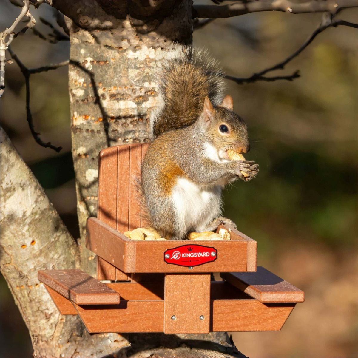 Kingsyard Recycled Plastic Squirrel Feeder Table