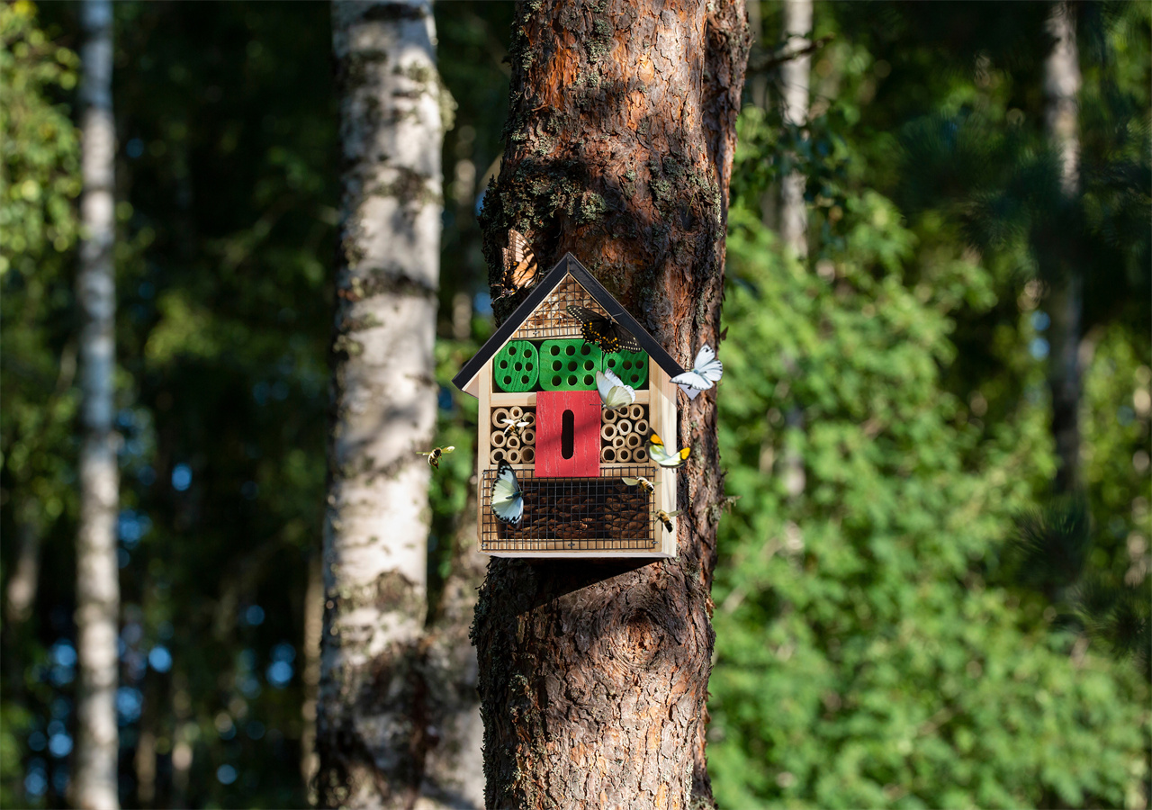 1 Kinsyard feeder was placed in the tree, with butterflies flying around it.