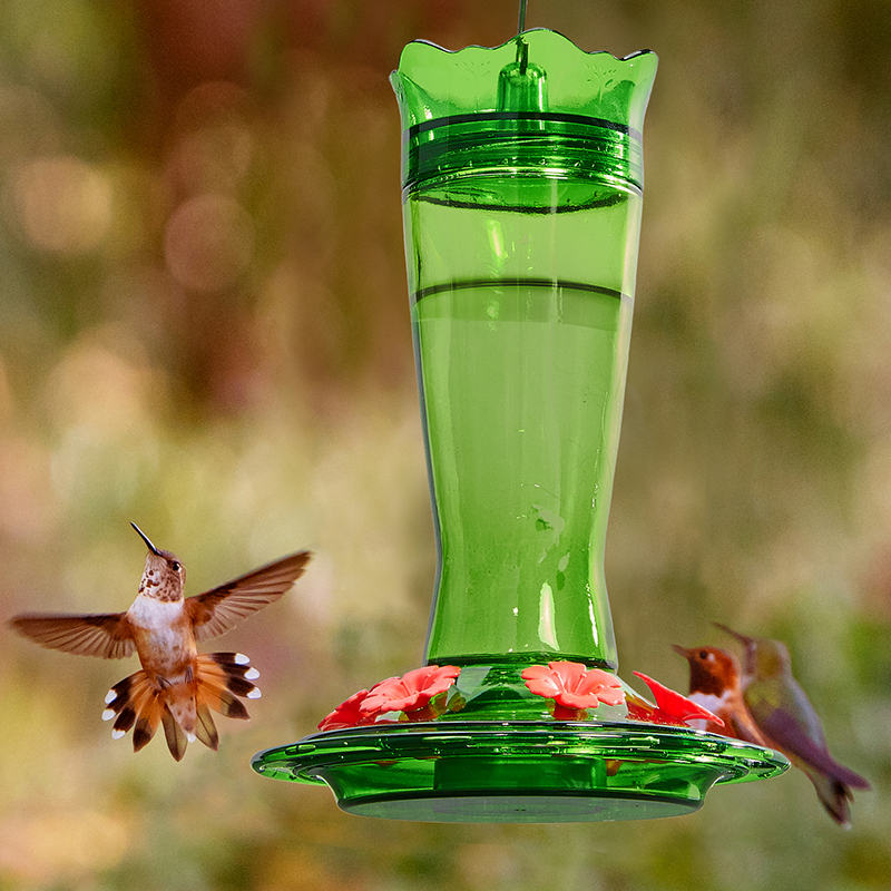 Bee proof store hummingbird feeder