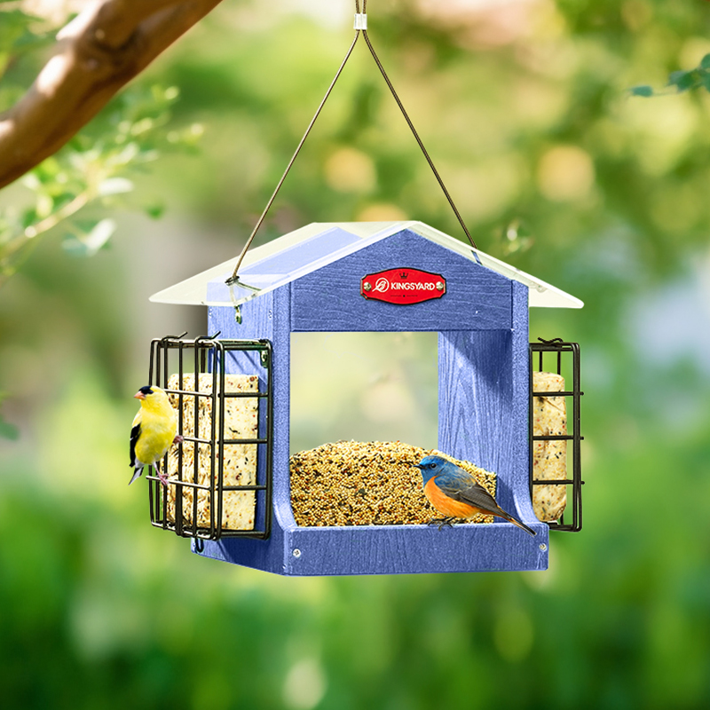 Wild deals bird feeders