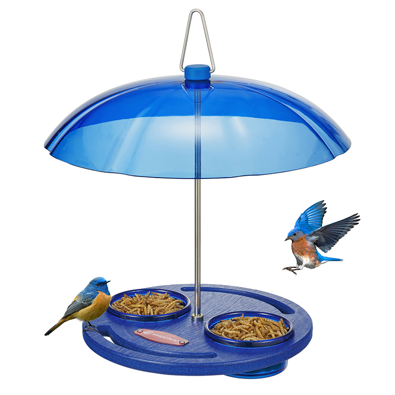 Kingsyard Recycled Plastic Platform Bird Feeder with Dome Top